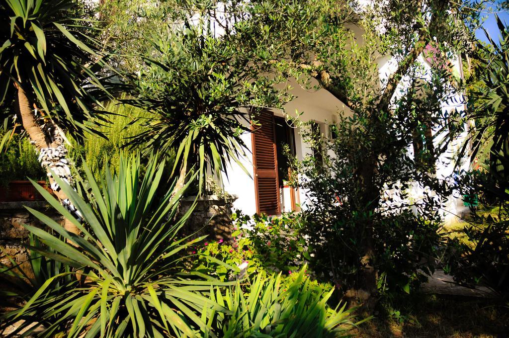 Apartments Adrialuka Dubrava  エクステリア 写真