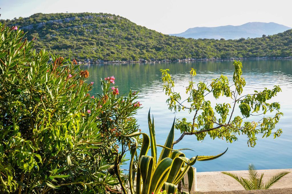 Apartments Adrialuka Dubrava  エクステリア 写真